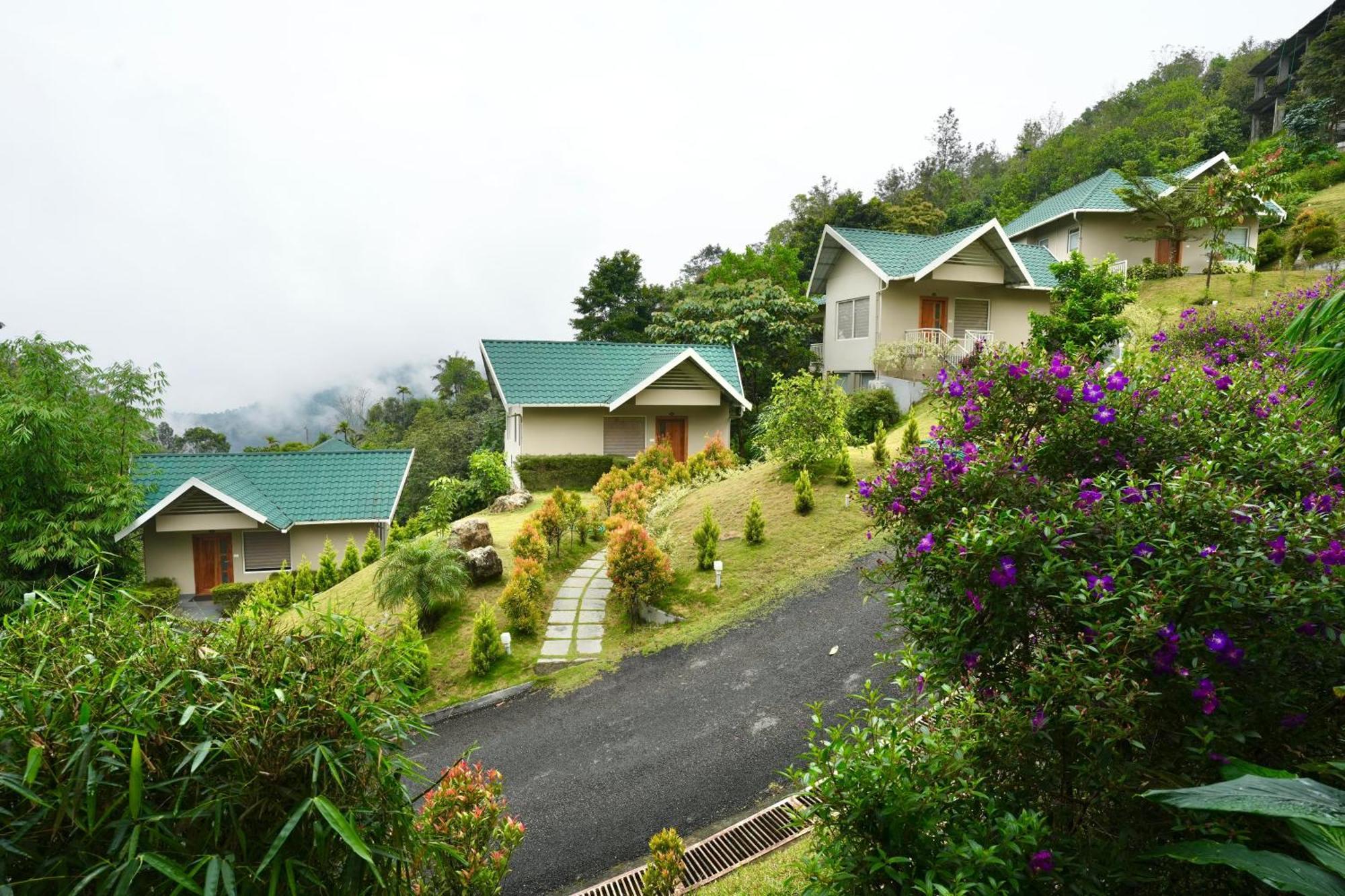 Aveda Munnar Mountains And Mist Hotel Kültér fotó